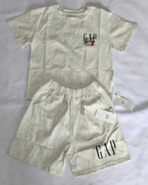 Ensemble GAP MICKEY